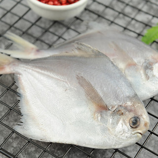 SOLID STANDARD 纯色本味 舟山口袋鲳 700g