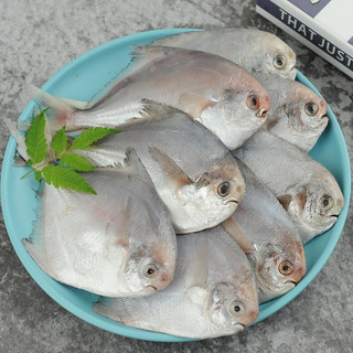 SOLID STANDARD 纯色本味 舟山口袋鲳 700g