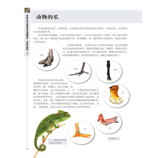 《中国少年儿童百科全书精读本·动物探秘营 上》
