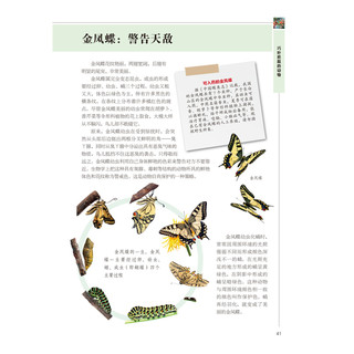 《中国少年儿童百科全书精读本·动物探秘营 上》