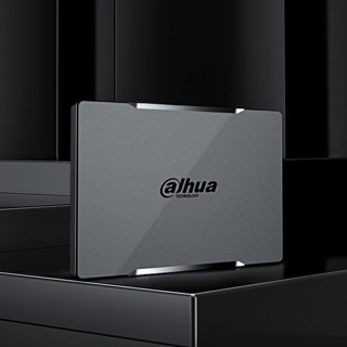 da hua 大华 C800 SATA 固态硬盘 512GB（SATA3.0）