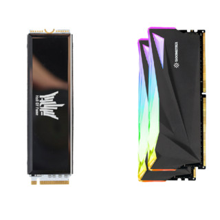 GALAXY 影驰 HOF Pro 20 NVME M.2 固态硬盘 1TB+星曜 3600MHz 台式机内存 8GB*2