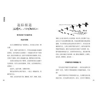 《森林报·秋》（湖南少年儿童出版社）