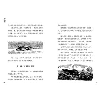 《森林报·秋》（湖南少年儿童出版社）