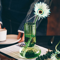 美歌伦 ins线条透明水培鲜花玻璃花瓶摆件北欧创意插花干花桌面花器装饰 绿色ins线条玻璃