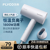 FLYCO 飞科 FH6276电吹风机家用大功率吹风筒负离子电风吹机吹飞可折叠1800W