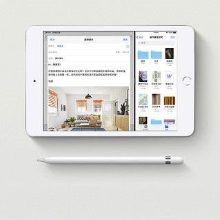 Apple 苹果 iPad mini 5 2019款 7.9英寸 平板电脑 (2048*1536dpi、A12、64GB、WLAN版、银色、MUQX2CH/A)