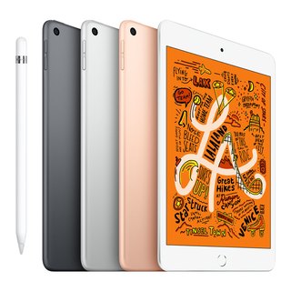 Apple 苹果 iPad mini 5 2019款 7.9英寸 平板电脑 (2048*1080dpi、A12、256GB、WLAN版、深空灰色、MUU32CH/A)