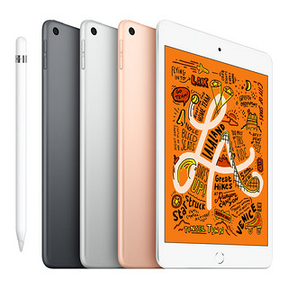 Apple 苹果 iPad mini5 2019款 7.9英寸 平板电脑 (2048*1536dpi、A12、256GB、Cellular版、深空灰、MUXX2CH/A)