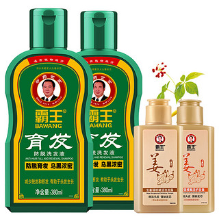 BAWANG 霸王 育发防脱洗护套装 (洗发液380ml*2+生姜洗发露80ml+生姜护发素80ml)