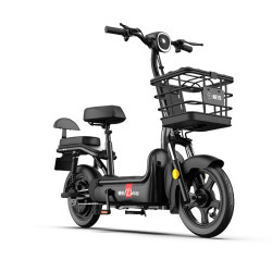 aima爱玛多乐升级锂电版48v新国标电动车