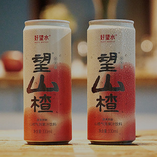 HOPE WATER 好望水 望山楂 330ml*24罐 罐装