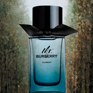 BURBERRY 博柏利 先生元素男士淡香水 EDT