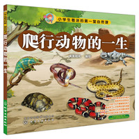 《小学生着迷的第一堂自然课·爬行动物的一生》