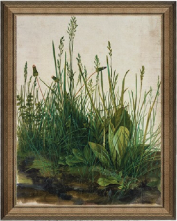 artron 雅昌 阿尔布雷希特99丢勒《大片草地》41×50cm 沙发背景墙