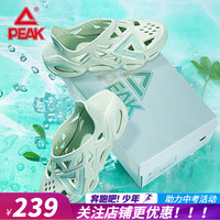 PEAK 匹克 态极洞洞鞋 凉鞋男女情侣鞋2021夏季新款潮流鞋沙滩鞋拖鞋 清心绿(偏大一码) 41