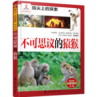 《指尖上的探索·第四辑：不可思议的猿猴》