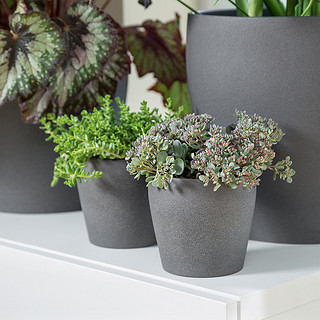 Ikea宜家persillade佩希拉德装饰用花盆深灰色绿植花盆 报价价格评测怎么样 什么值得买