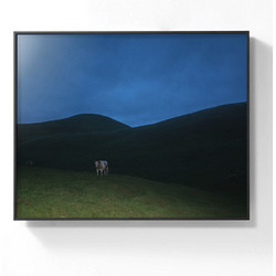 PICA Photo 拾相记 Benoit Paillé 作品《放养牛排》30×33cm  收藏级影像工艺 无酸装裱 限量50版