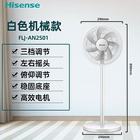 Hisense 海信 FLJ-AN2501 落地扇