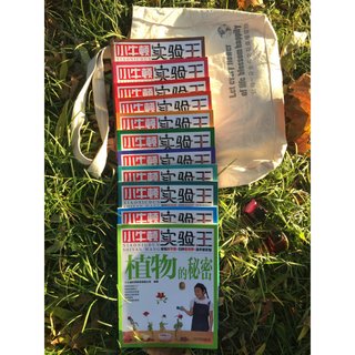 《小牛顿实验王》（新版、套装共12册）