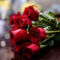 单色玫瑰花鲜花花束18支 2支 防损耗 多少钱 什么值得买