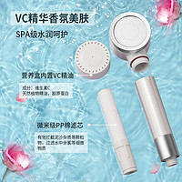 LANDUN 蓝盾 花洒净水器 VC美肤沐浴净水花洒过滤器  一机一芯