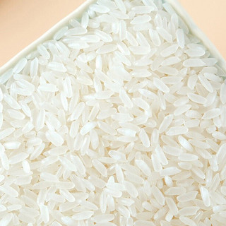 SHI YUE DAO TIAN 十月稻田 有机五常大米 5kg
