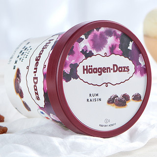 Häagen·Dazs 哈根达斯 葡萄干朗姆酒冰淇淋 392g