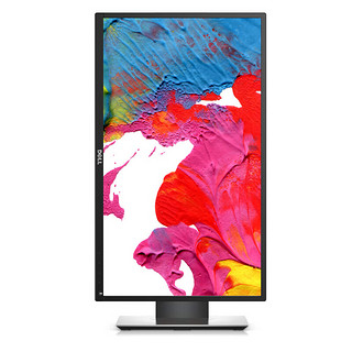 DELL 戴尔 P2317H 23英寸 IPS 显示器(1920×1080、82%sRGB）