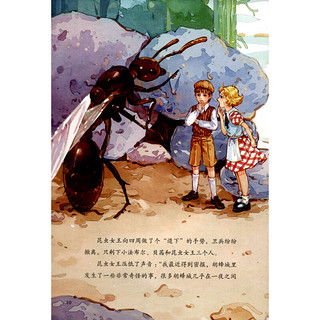 《写给中国儿童的昆虫记·胡峰、蜘蛛》