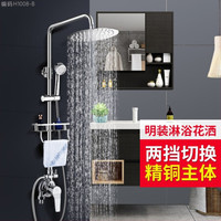家韵明装花洒套装增压蓬头浴室家用全铜龙头卫生间淋浴雨喷头 明装两档圆形套装