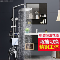 家韵明装花洒套装增压蓬头浴室家用全铜龙头卫生间淋浴雨喷头 明装两档圆形套装