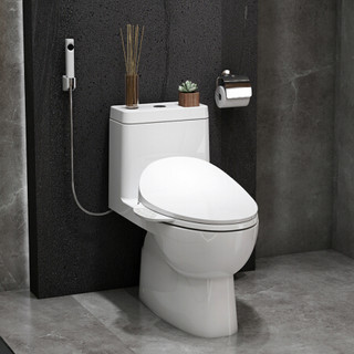 KOHLER 科勒 K-28866T+18659T 智能坐便器套装 305mm坑距