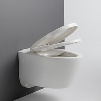 京东百亿补贴：KOHLER 科勒 K-25255 家用壁挂式马桶 旗舰款水箱+缸体+面板一级水