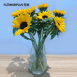 FlowerPlus 花加 红豆一扎 （约8-10支）