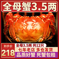 Sinoon Union 星农联合 12只特大螃蟹全母3.5两阳澄湖镇大闸蟹海鲜河蟹鲜活水产