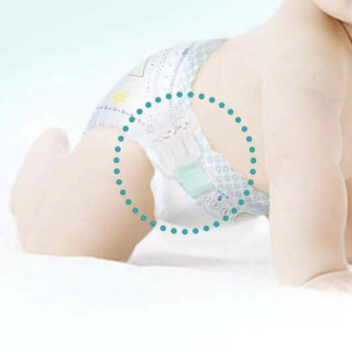 Pampers 帮宝适 一级帮系列 纸尿裤 NB84片*2包+S76片*2包