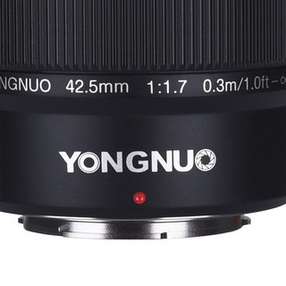 YONGNUO 永诺 YN 42.5mm F1.7 II 标准定焦镜头 Micro 4/3卡口 52mm