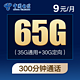 CHINA TELECOM 中国电信 紫星卡 9元月租（35G通用流量 30G定向流量 300分钟国内通话）