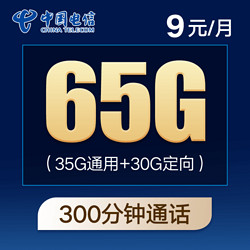CHINA TELECOM 中国电信 紫星卡 9元月租（35G通用流量+30G定向流量+300分钟国内通话）