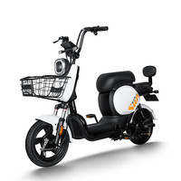 PALLA 新大洲 K9 电动自行车 TDT38Z 48V24Ah锂电池 钻白
