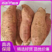 杞农优食山东特产烟薯25号蜜薯大果约2.5kg 肉质细腻