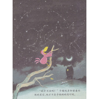 《不一样的卡梅拉2·我想有颗星星》