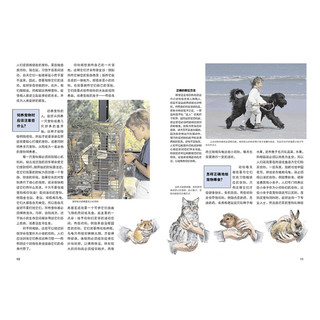 《什么是什么·宠物天地》（学生版）
