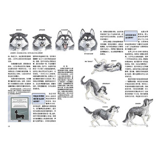 《什么是什么·宠物天地》（学生版）
