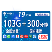 CHINA TELECOM 中国电信 黑牛卡 19元月租(73G通用流量+30G定向流量+300分钟国内通话)