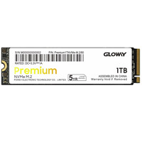 GW 光威 Premium 高级版 NVMe M.2 固态硬盘 (PCI-E3.0)