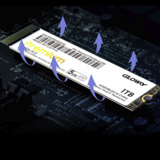 GW 光威 Premium 高级版 NVMe M.2 固态硬盘 (PCI-E3.0)