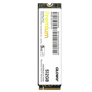 GW 光威 Premium 高级版 NVMe M.2 固态硬盘 512GB (PCI-E3.0)